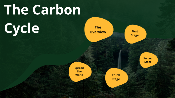 The Carbon Cycle by Muhammad Grill on Prezi