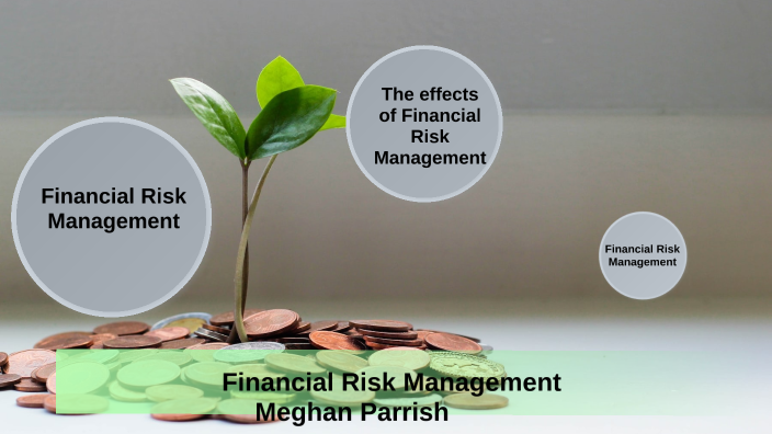 Financial Risk Management by Meghan Parrish on Prezi