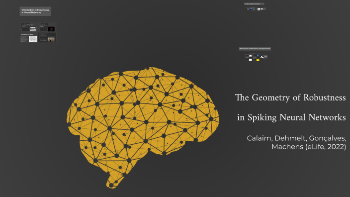 The Geometry of Robustness in Spiking Neural Networks by sahba ...
