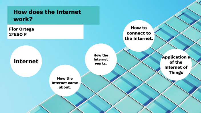 How Does The Internet Work? By Flor Ortega