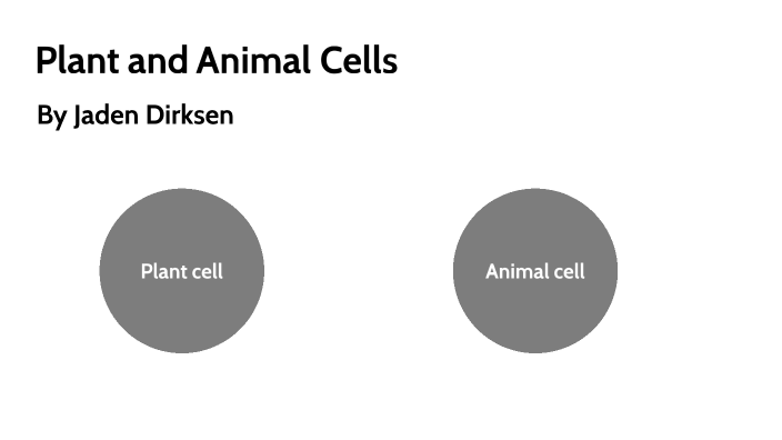 Plant and Animal cells by Jaden Dirksen on Prezi
