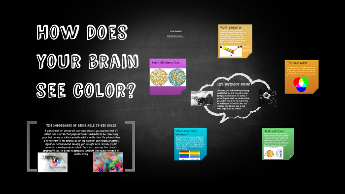 How Does your brain see color? by Ashley Welsch on Prezi