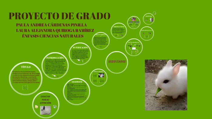 PROYECTO DE GRADO by laura quiroga on Prezi
