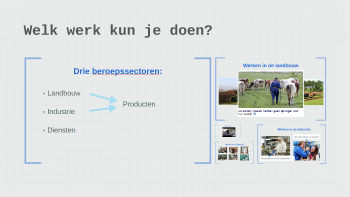Welk werk kun je doen? by Mirja van der Zaag