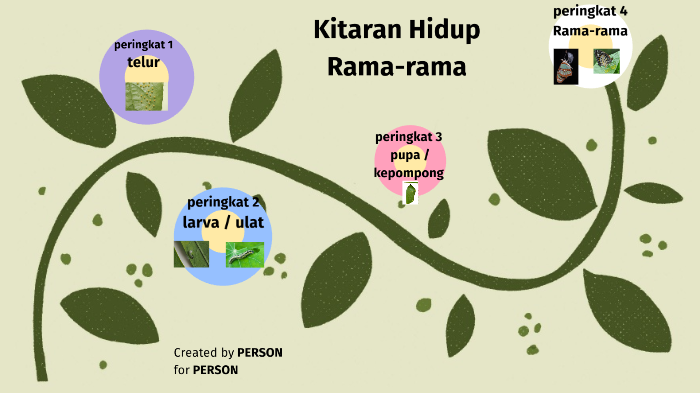 Kitaran Hidup Rama-rama by Azie Os on Prezi