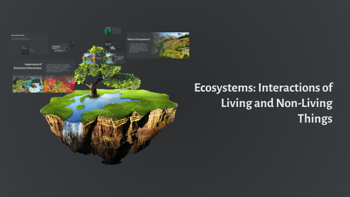 Ecosystems: Interactions of Living and Non-Living Things by joshua ...