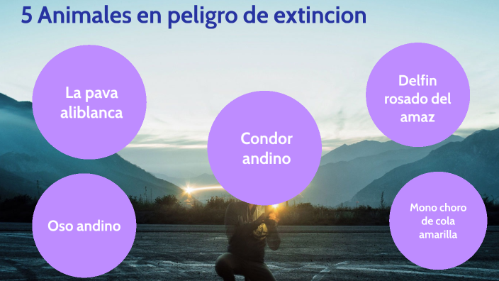 5 animales en peligro de extinción by angie carranza on Prezi