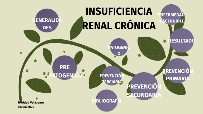 Insuficiencia Renal Cronica Historia Natural De La Enfermedad by