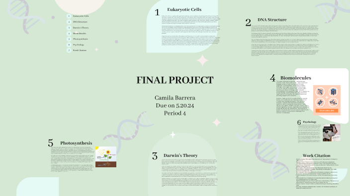Understanding Biology by camila barrera on Prezi