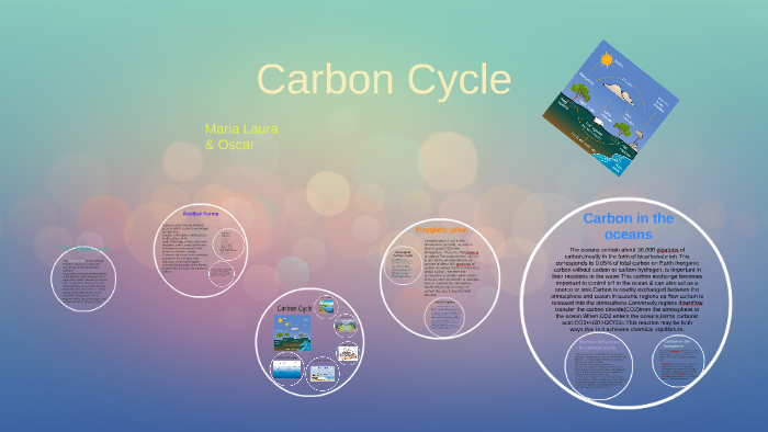 Carbon Cycle by Daniela Hernandez on Prezi