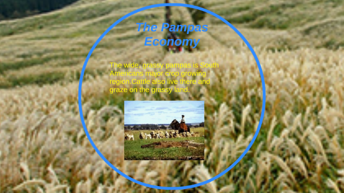 The Pampas Economy by Falynn P. on Prezi