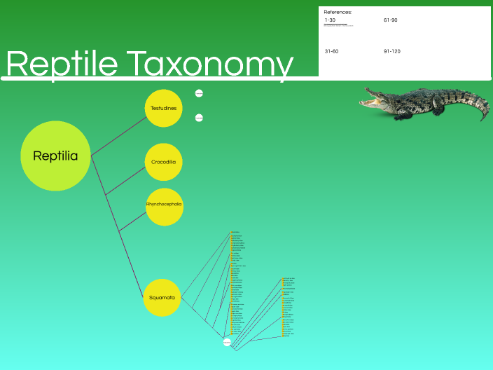 Reptile Taxonomy by Yvaine Stelmack on Prezi