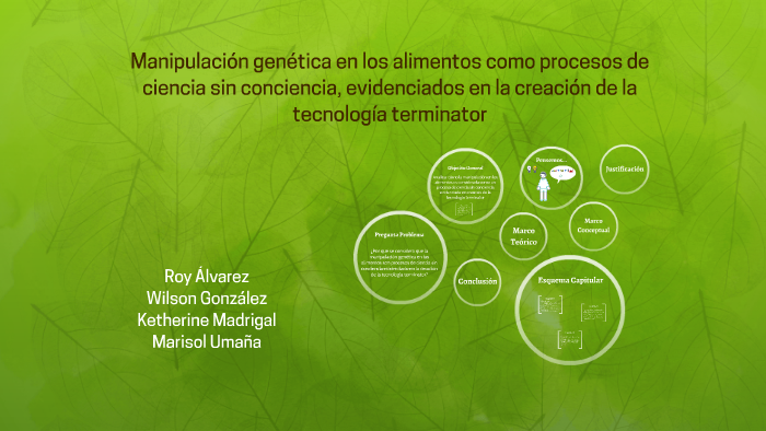 Manipulación Genética En Los Alimentos By Marisol Umana On Prezi