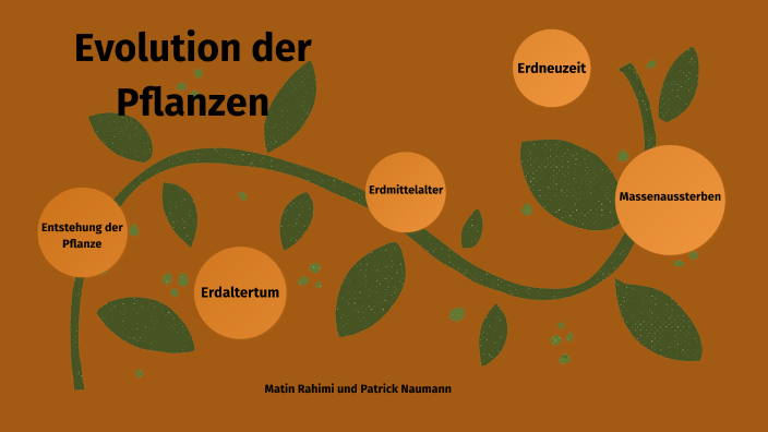 Evolution der Pflanzen by Matin Rahimi on Prezi