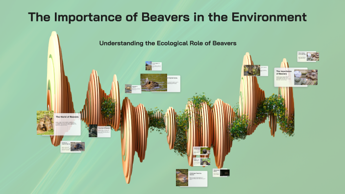 The Importance of Beavers in the Environment by Daniel Friedrich on Prezi