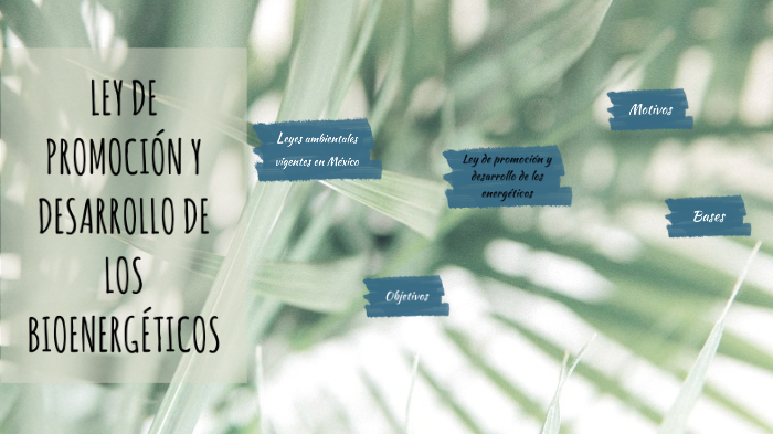 Ley de promoción y desarrollo de los bioenergéticos by alin pamela