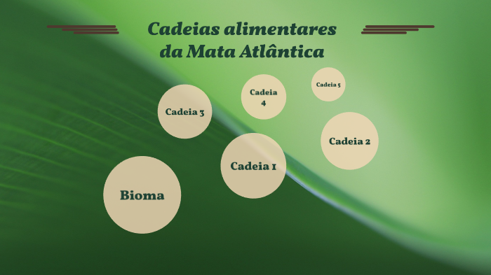 Cadeias alimentares da Mata Atlântica by Sofia Louvato on Prezi