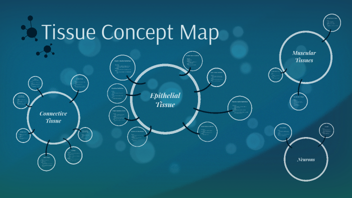 Tisse Concept Map by Megan Campos on Prezi