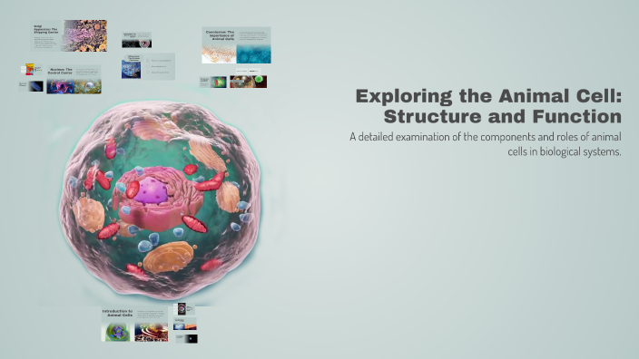Exploring the Animal Cell: Structure and Function by Abderrahmen Kemmad ...