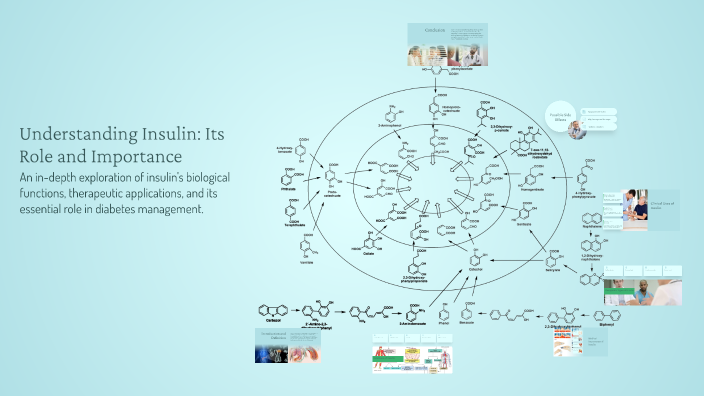 Understanding Insulin: Its Role and Importance by sadin khaled on Prezi