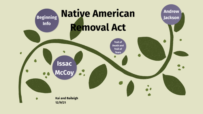 native american removal essay