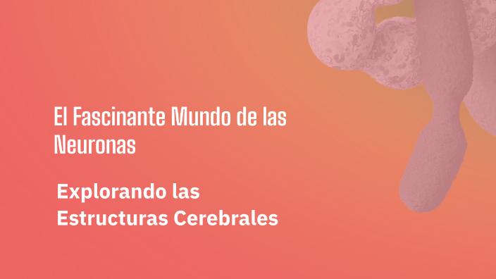 El Fascinante Mundo de las Neuronas by Lorena Velosa on Prezi