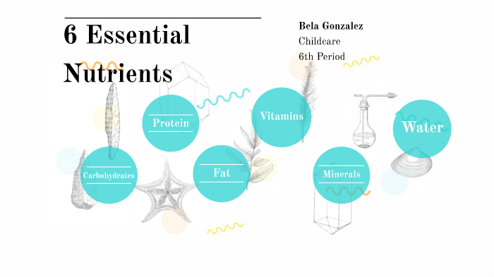 6 essential nutrients by bela gonzalez on prezi next what are the 6 essential nutrients