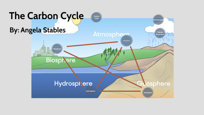 The Carbon Cycle by Angela Stables on Prezi