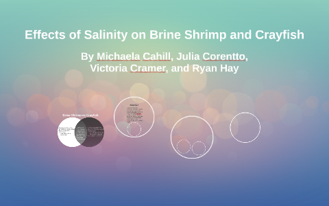 Effects of Salinity on Brine Shrimp and Crayfish by JMVR AP Bio on Prezi