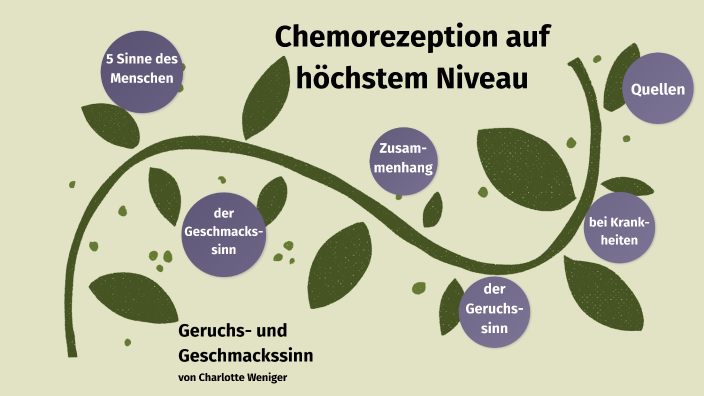 Geruchs und Geschmackssinn by Charlotte Weniger on Prezi