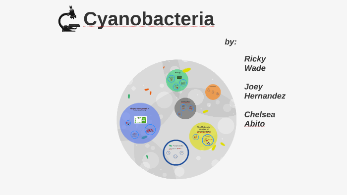 Cyanobacteria by Ricky Wade on Prezi