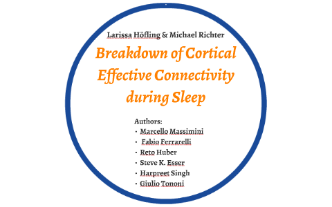 Breakdown of Cortical Effective Connectivity during Sleep by Michael R ...