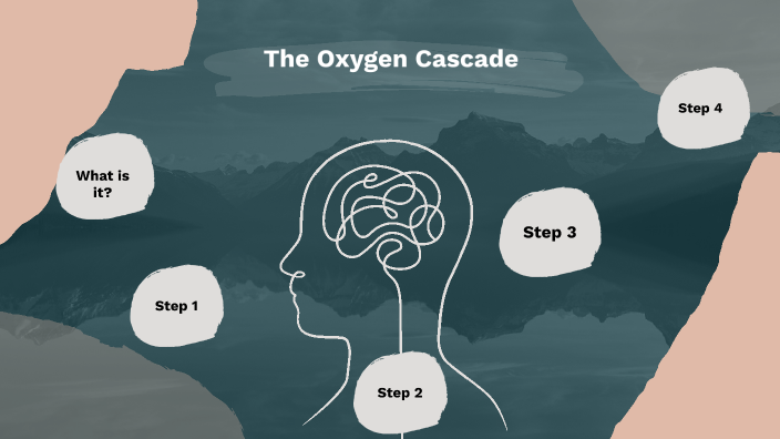 The Oxygen Cascade by Kristof Williams on Prezi