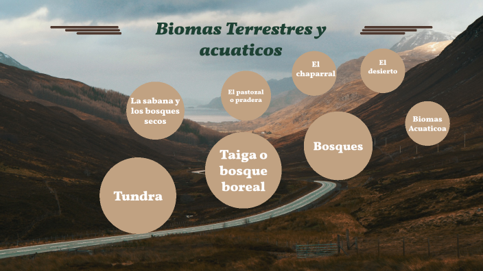 Biomas terrestres y acuaticos by helen cabrera espin on Prezi