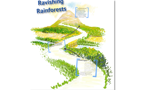 the amazon rainforest by li ta on Prezi