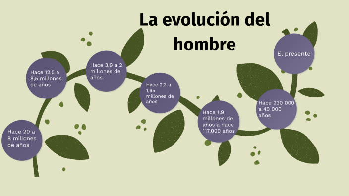 Línea del tiempo de la evolución del hombre by Emilia Bravo Doehler on ...