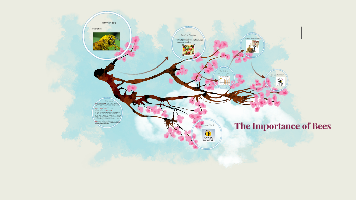 The Importance of Bees by Ramisee Kuzmicz on Prezi
