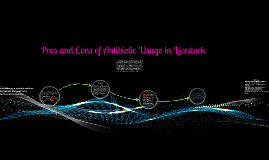 Pros And Cons Of Antibiotic Usage In Livestock By Kali Seagraves