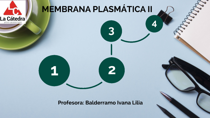 MEMBRANA PLASMÁTICA II-LC By Ivana Lilia Balderramo On Prezi