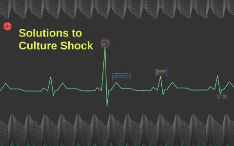 Solutions to Culture Shock by ZHAO Queena