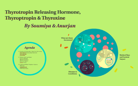 Thyrotropin Releasing Hormone, Thyoptropin & Thyroxine By Soumiya Suresh