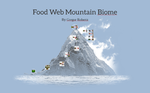 Food Web Mountain Biome by Gregor Robertz on Prezi