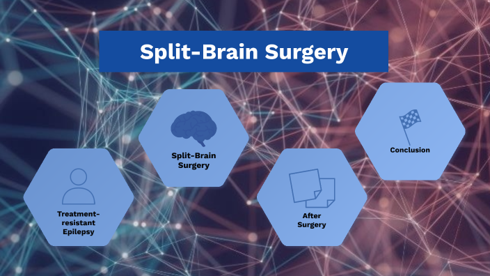 Why Was The Split Brain Operation First Performed