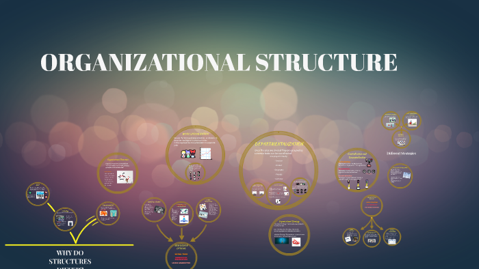 ORGANIZATIONAL STRUCTURE by eli cohetero on Prezi