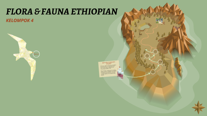 58 Gambar Hewan Fauna Ethiopian Terbaru