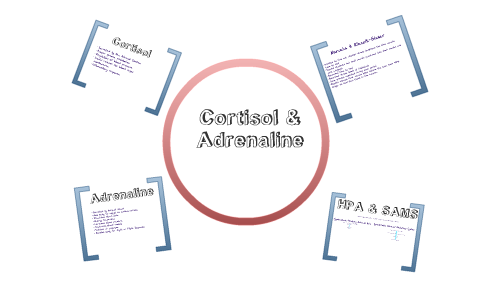 Adrenaline & Cortisol - Fight or Flight Response by Alex Ho on Prezi
