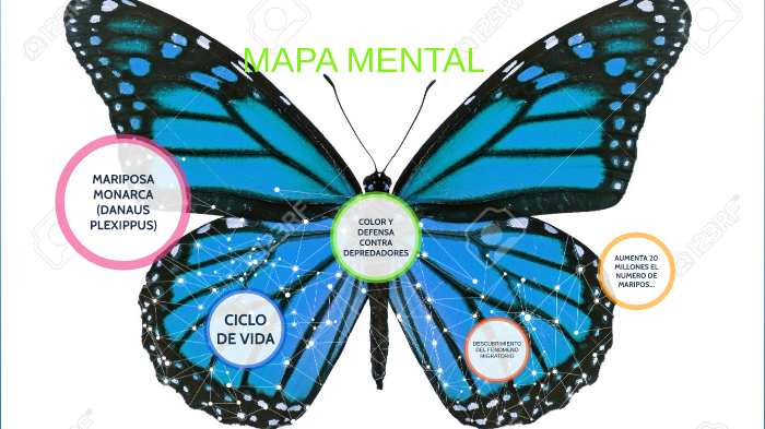 mapa mental by jesus garcía salazar on Prezi