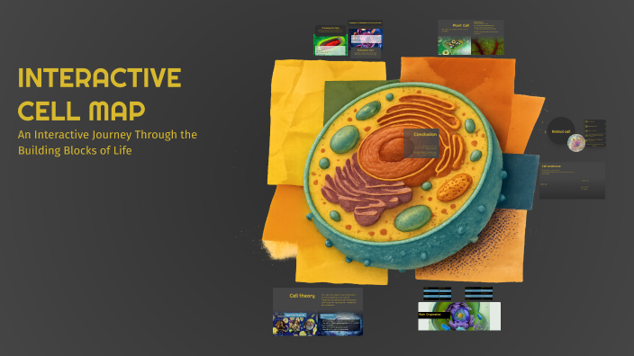 Exploring Cell Structure by Marifer Ramírez on Prezi