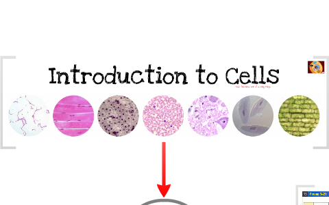 Introduction to Cells by Ms. Krubski on Prezi