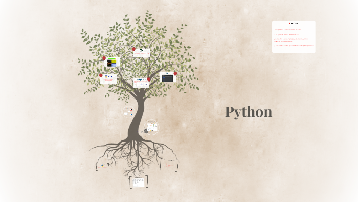 Python by on Prezi